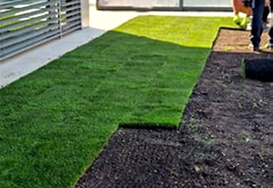 Sod Installation photo